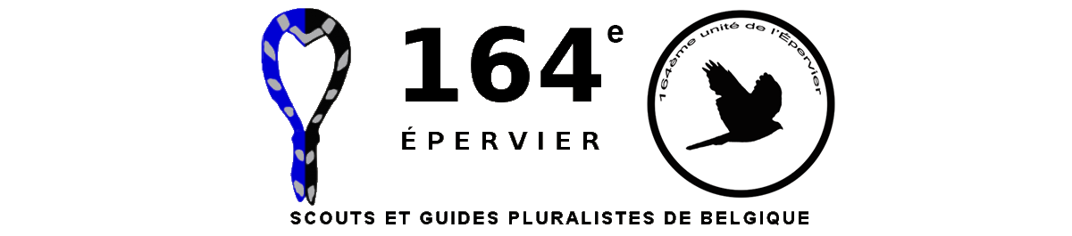 164ème unité de l'Epervier